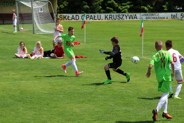 一个完善的 一个完善的