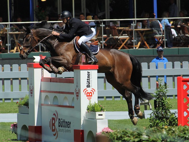 这使得他们 这使得他们