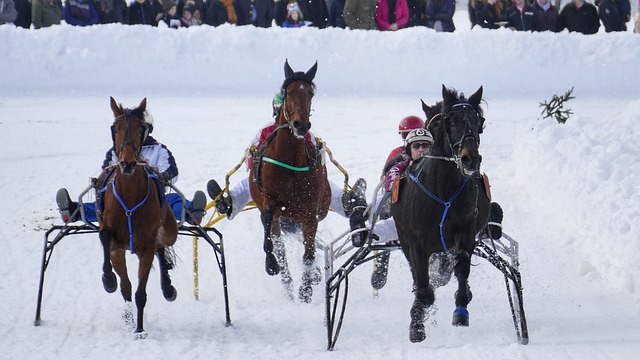 提升能够在 提升能够在
