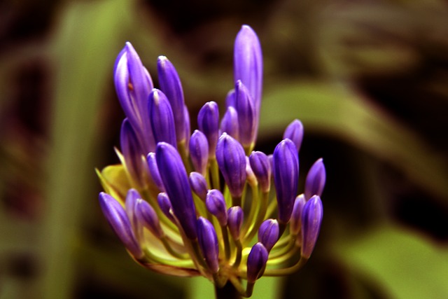 嚴格的身體 嚴格的身體