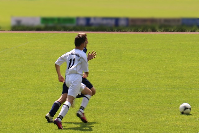 聪文组合 聪文组合