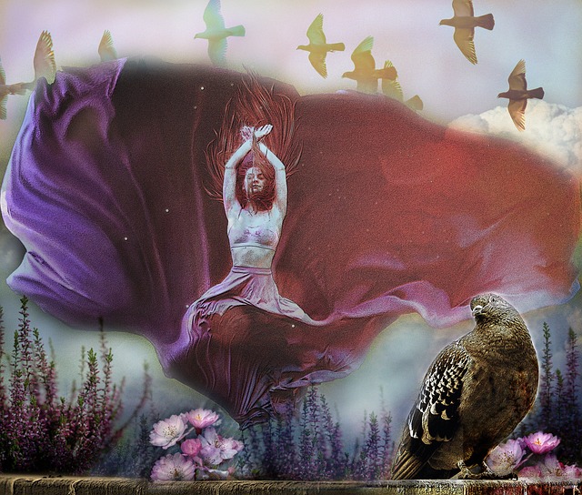 供了宝贵经 供了宝贵经