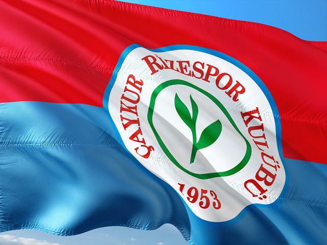 想在场上占 想在场上占