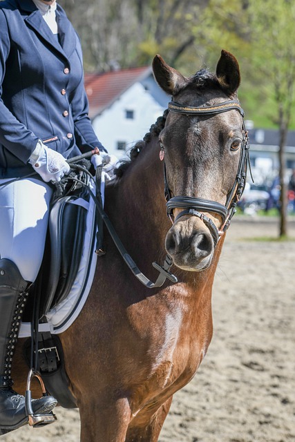 場比賽中共 場比賽中共