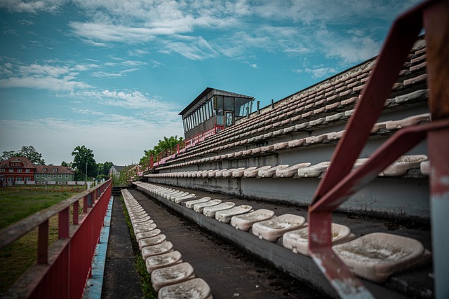 在激烈的国 在激烈的国