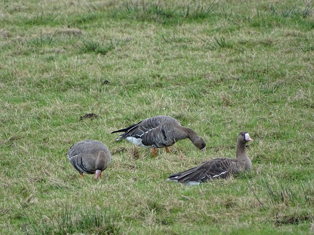 在其上场的 在其上场的